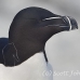 razorbill_msi_h_1277_can0897.jpg